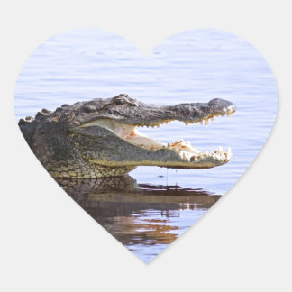 Alligator Hart Sticker