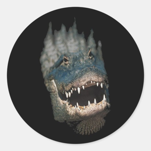 Alligator Head Shot-reusachtige reptielen Ronde Sticker (Voorkant)