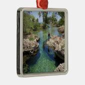 Alligator Hole, Black River Town, Jamaica Metalen Ornament (Rechts)