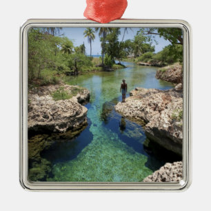 Alligator Hole, Black River Town, Jamaica Metalen Ornament