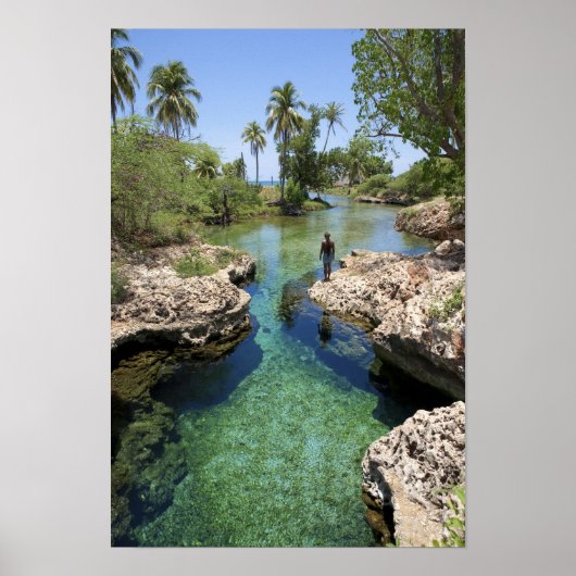 Alligator Hole, Black River Town, Jamaica Poster (Voorkant)