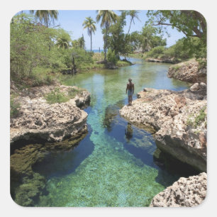 Alligator Hole, Black River Town, Jamaica Vierkante Sticker