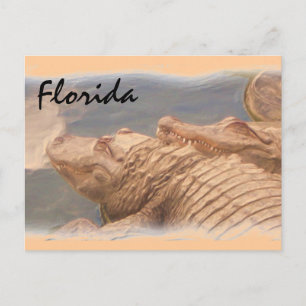 Alligator houdt van Florida briefkaart