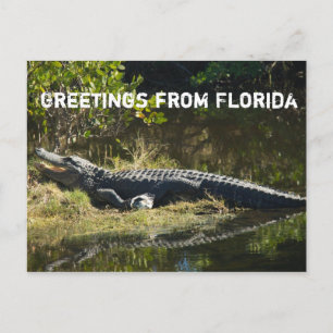 Alligator in de zon Personaliseer Briefkaart