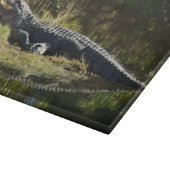 Alligator in de zon snijplank (Hoek)