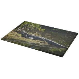 Alligator in de zon snijplank