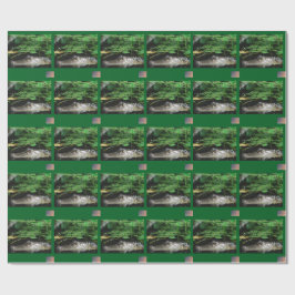 Alligator Inpakpapier