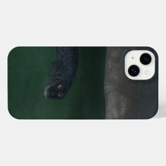 Alligator iPhone Case Hoesje (Achterkant horizontaal)