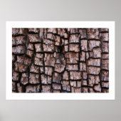 Alligator Juniper Bark Poster (Voorkant)