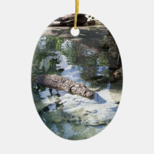 Alligator Keramisch Ornament