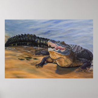 Alligator kunst. Van aangezicht tot aangezicht Poster
