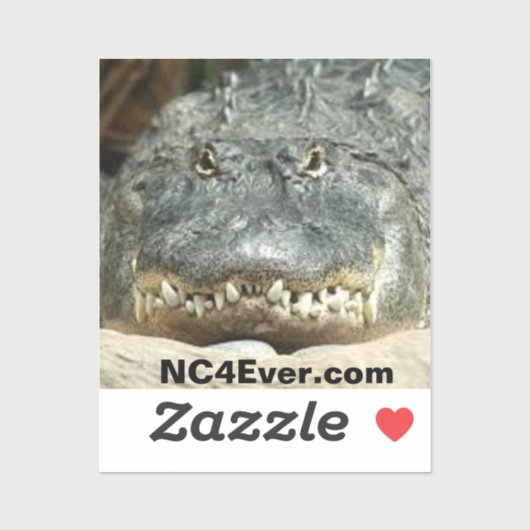 Alligator Laptop Sticker van NC4Ever.com (Vel)