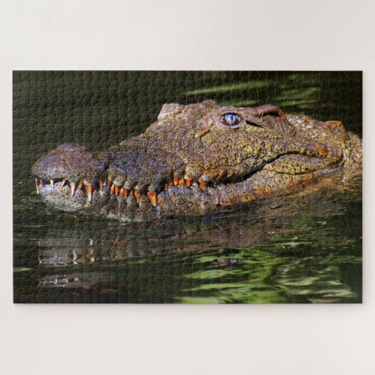 Alligator Legpuzzel (Horizontaal)