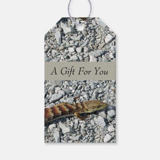Alligator Lizard Gift Labels Cadeaulabel (Voorkant)