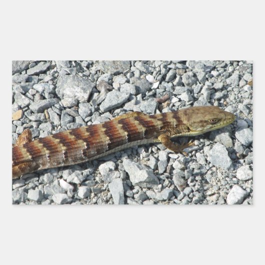 Alligator Lizard Stickers (Voorkant)