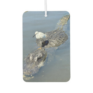 Alligator-luchtverfrisser Luchtverfrisser