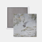 Alligator Magnet Magneet (Voorkant / Achterkant)