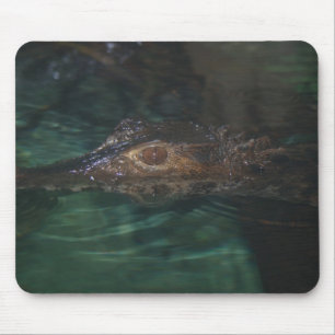 Alligator Mousepad Muismat