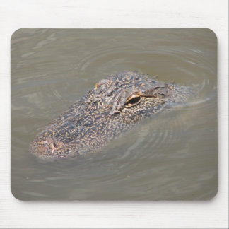 Alligator Muismat