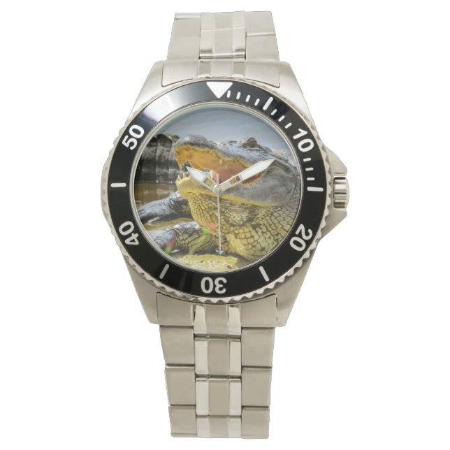 Alligator. Naar het gezicht. Horloge (Voorkant)