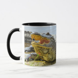 Alligator. Naar het gezicht. Mok