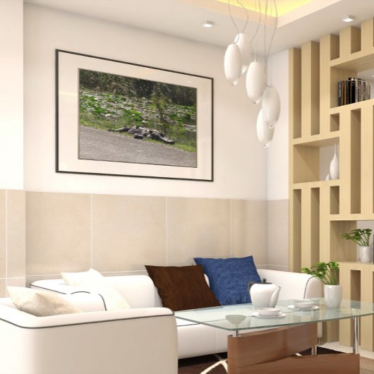 Alligator op Alligator Alley, Fl Poster