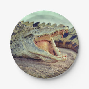 Alligator Papieren Bordje