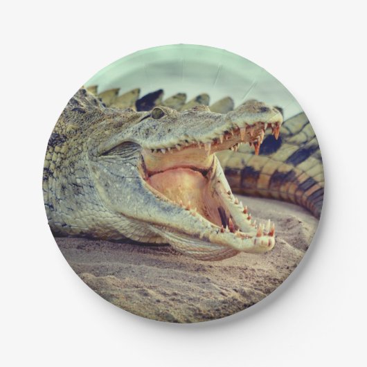 Alligator Papieren Bordje (Voorkant)