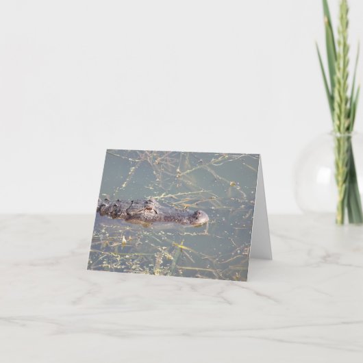 Alligator Photo Folded Note Kaart (Voorkant)