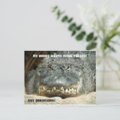 Alligator Plus de traitements Carte postale (Debout devant)