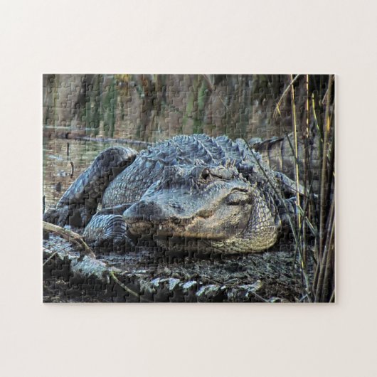 Alligator Puzzle Legpuzzel (Horizontaal)