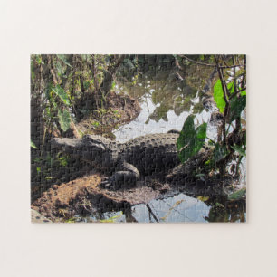 Alligator Puzzle Legpuzzel