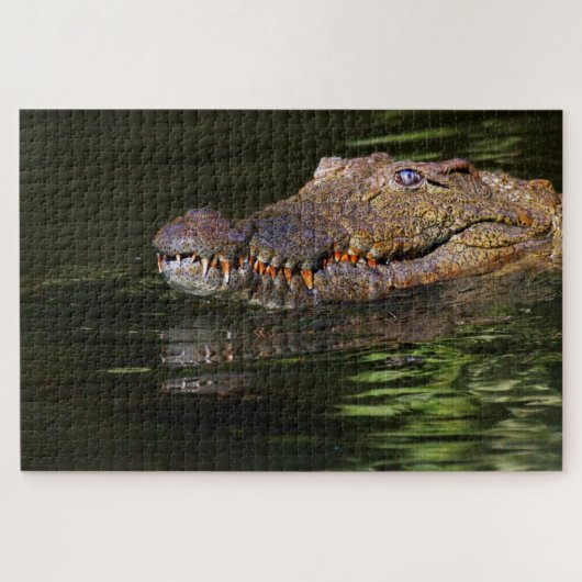 Alligator Puzzle Legpuzzel (Horizontaal)