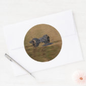 alligator ronde sticker (Envelop)
