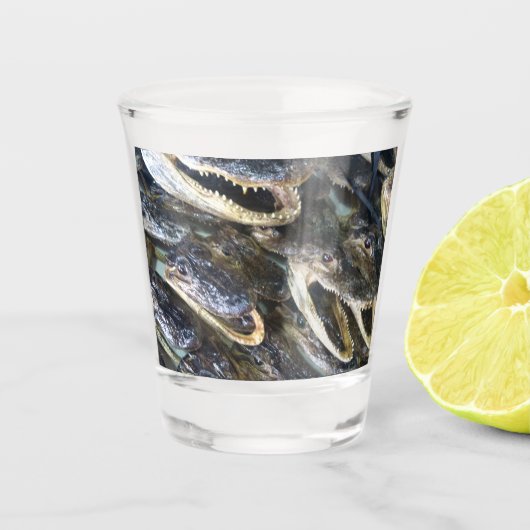 Alligator Shot Glass Glas (Voorkant)