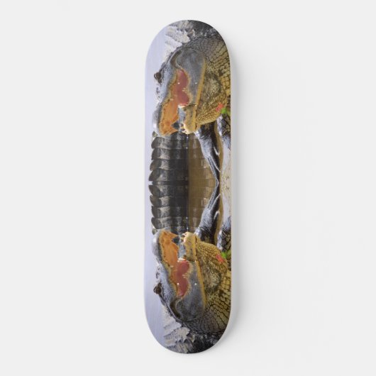 Alligator Skateboard (Voorkant)