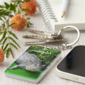 Alligator Sleutelhanger (Voorkant Rechts)