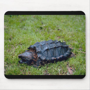Alligator Snapping Turtle Muismat
