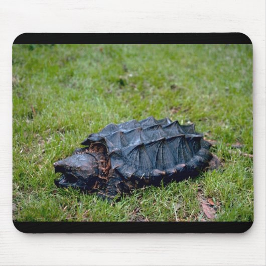Alligator Snapping Turtle Muismat (Voorkant)