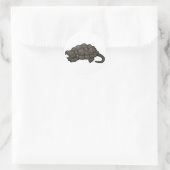 Alligator Snapping Turtle Ronde Sticker (Tas)