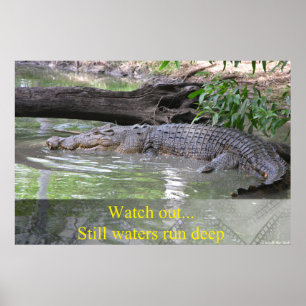 Alligator stille wateren lopen diep Poster