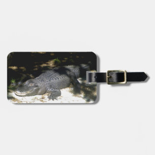 Alligator Sunbading Bagagelabel