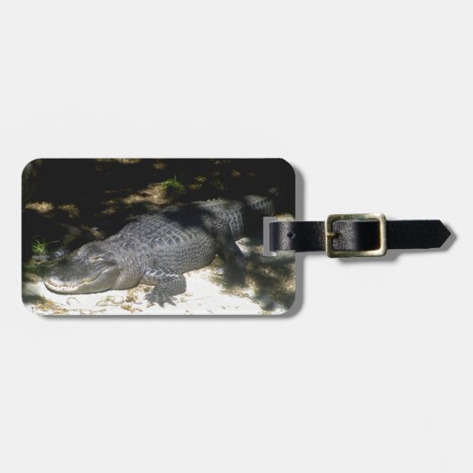 Alligator Sunbading Bagagelabel (Voorkant horizontaal)