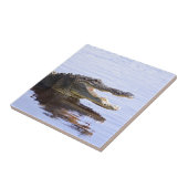 Alligator Tegeltje (Zijkant)