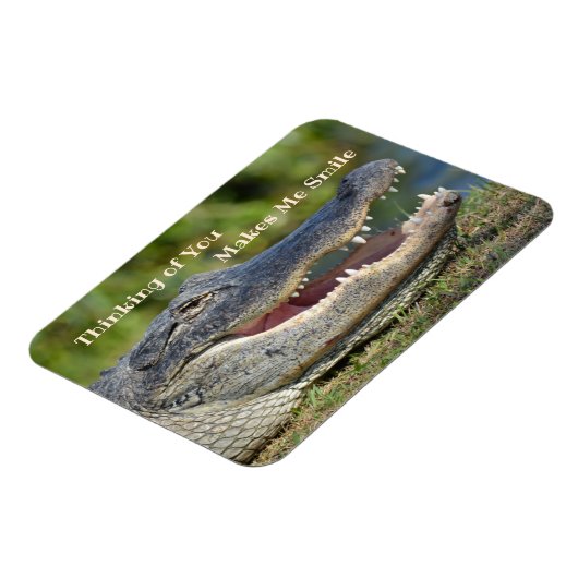 Alligator Thinking maakt me glimlachen Magneet (Linkerzijde)