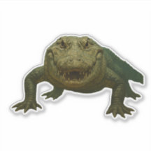 Alligator Uitknip Sticker