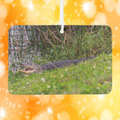 Alligator Viera Wetlands Florida Foto Luchtverfrisser