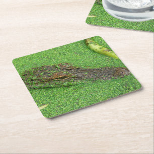 Alligator Vierkante Kartonnen Onderzetter