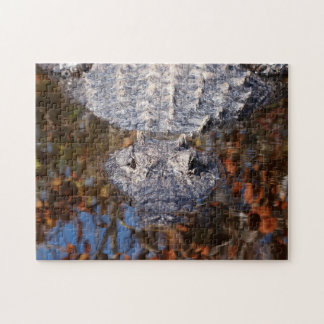 Alligator - Voorzichtig! Legpuzzel