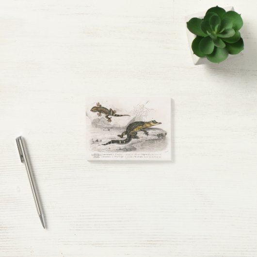 Alligatorhagedis Post-it® Notes (Kantoor)